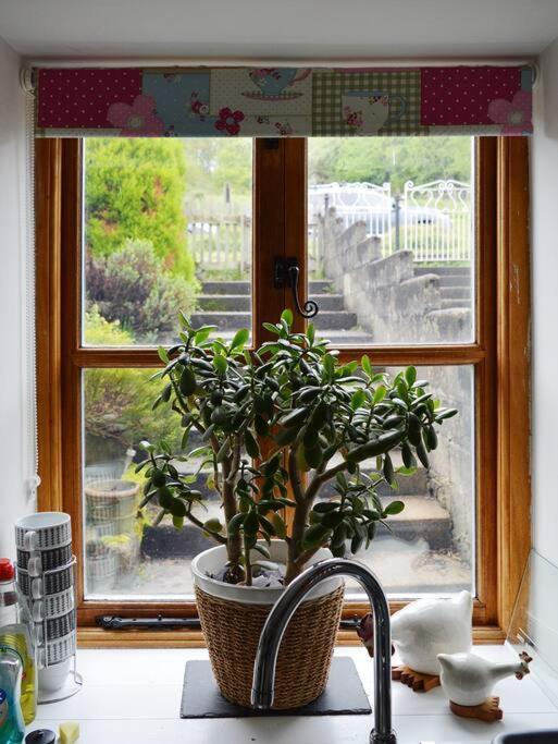 Foresters Inn Cottage Parkend Eksteriør bilde