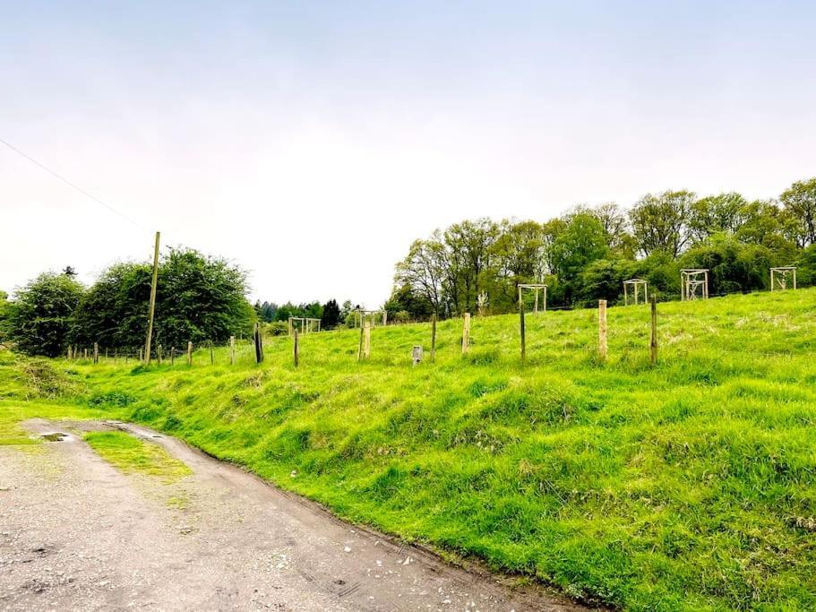 Foresters Inn Cottage Parkend Eksteriør bilde